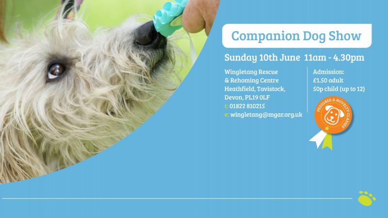 Wingletang Companion Dog Show